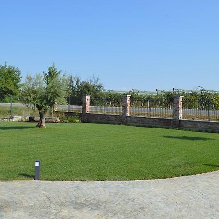 סאלוצו B&B La Luce Verde מראה חיצוני תמונה